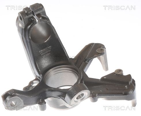 TRISCAN 8500 29701 Steering knuckle, wheel suspension