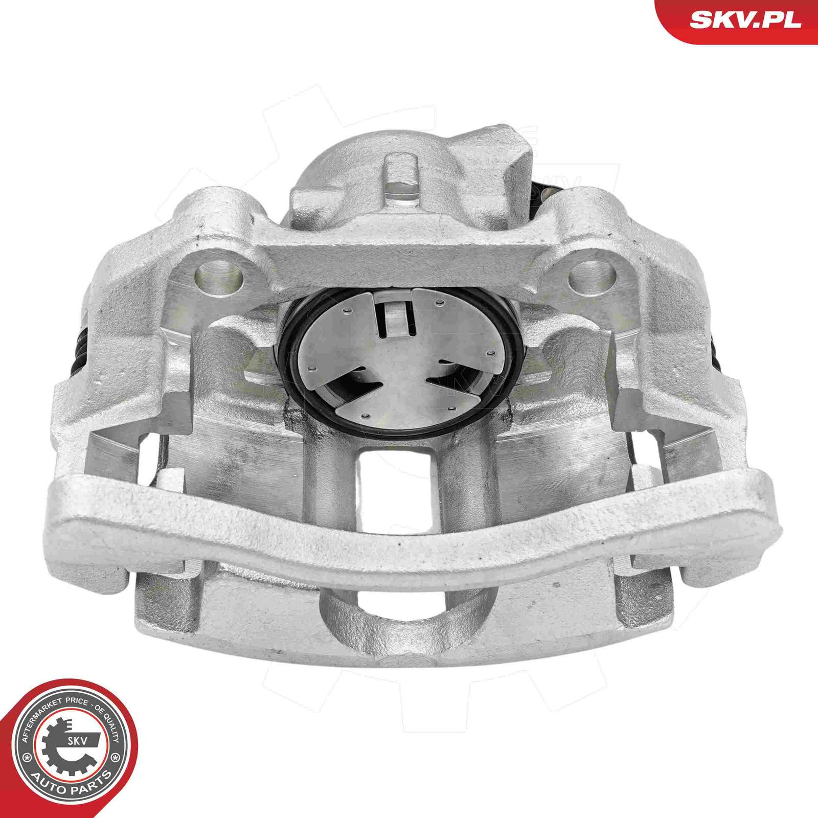 Brake Caliper-1
