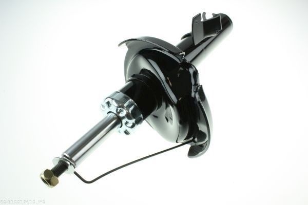 AUTOMEGA 110012410 Shock absorber