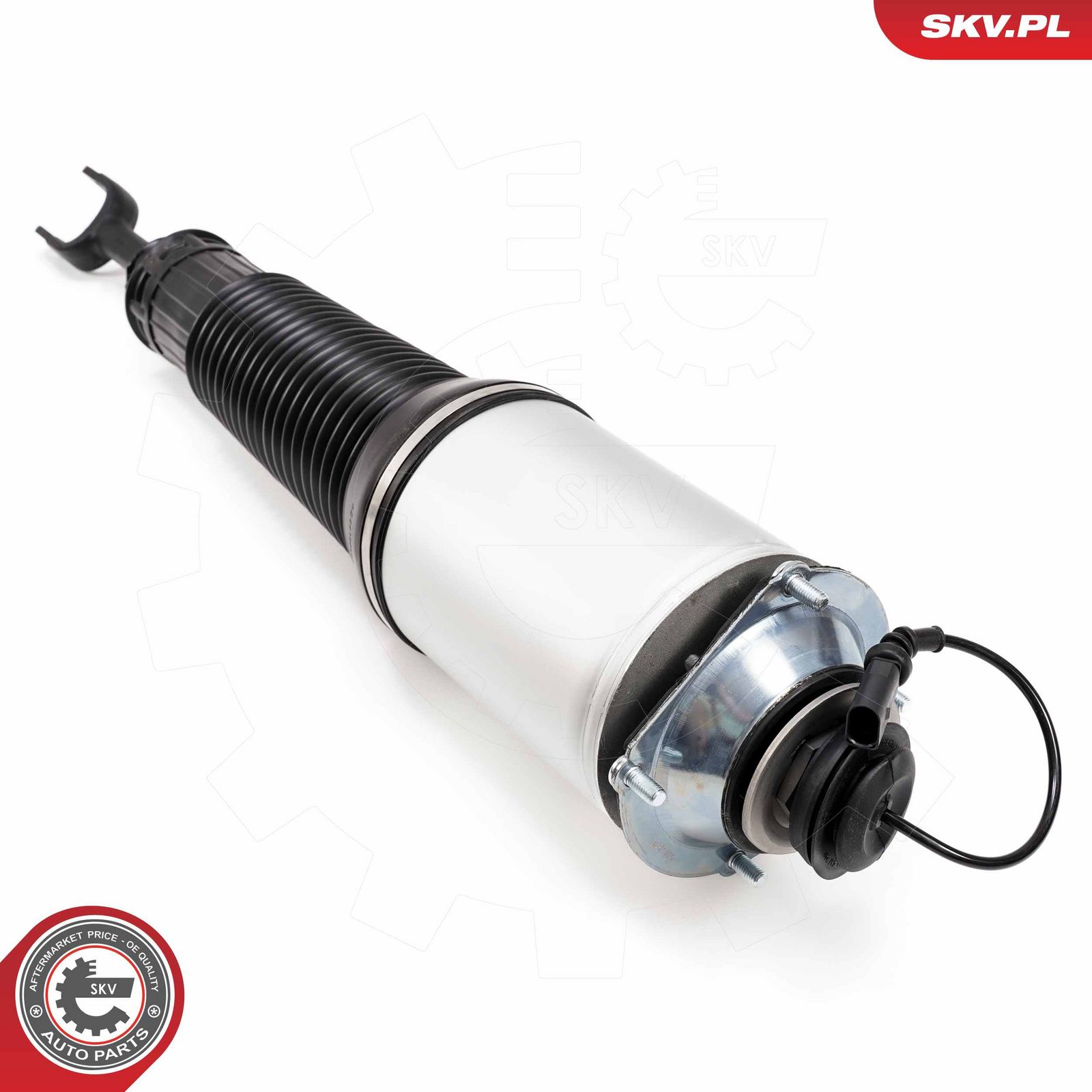 Air Suspension Strut-2