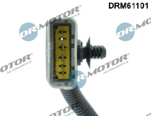 EGR Valve-1