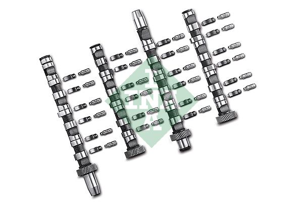 SCHAEFFLER INA 428 0038 30 Camshaft kit