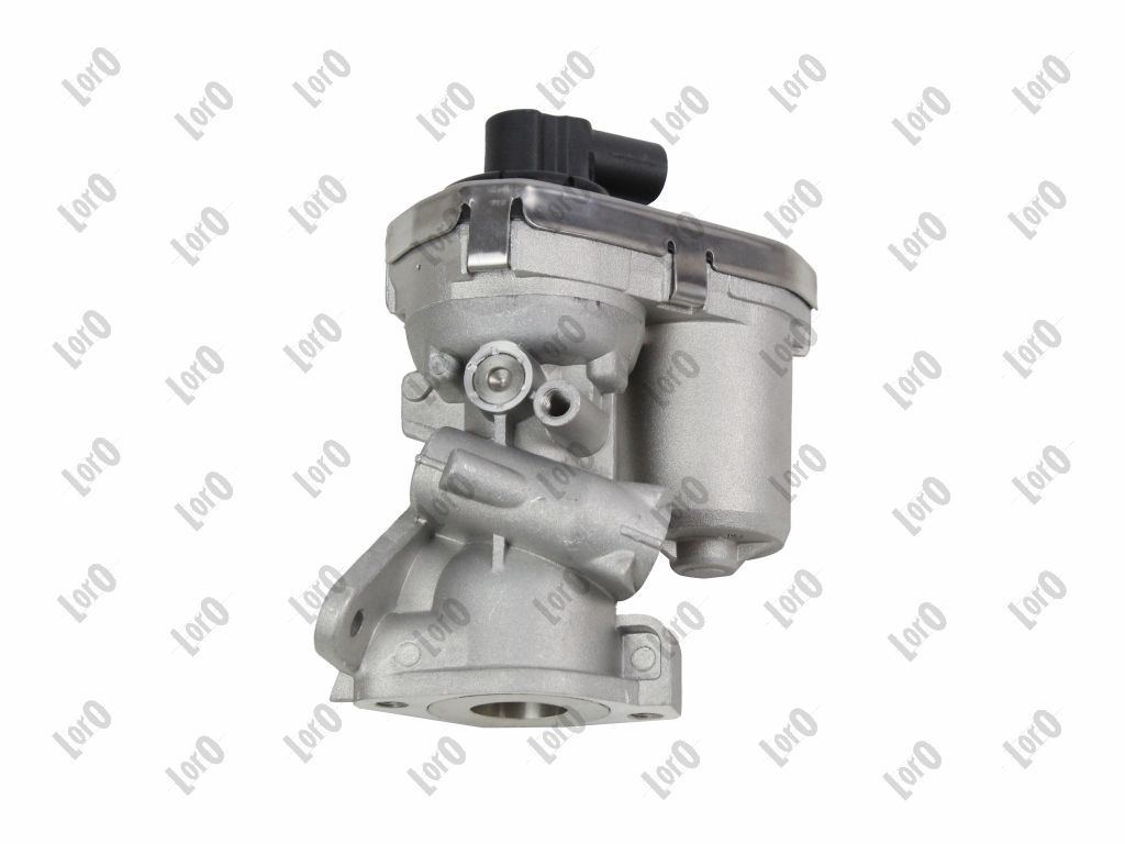 EGR Valve-4