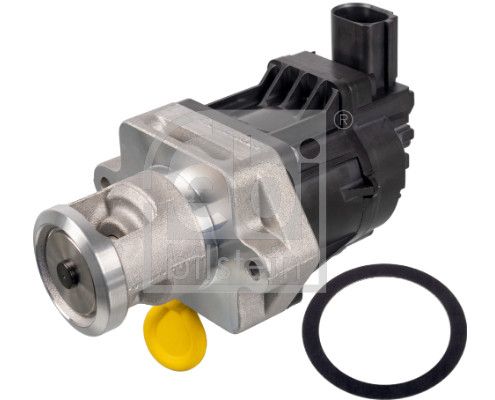 EGR Valve