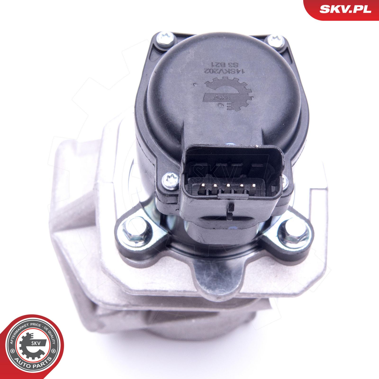 EGR Valve-4