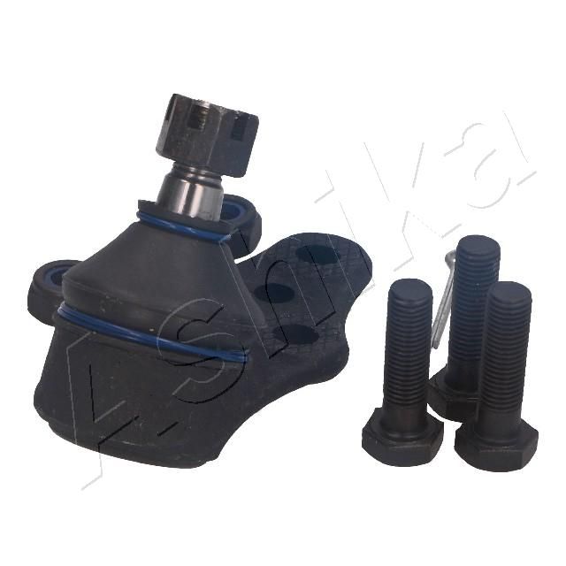 Šarnyras / girgždukas-2