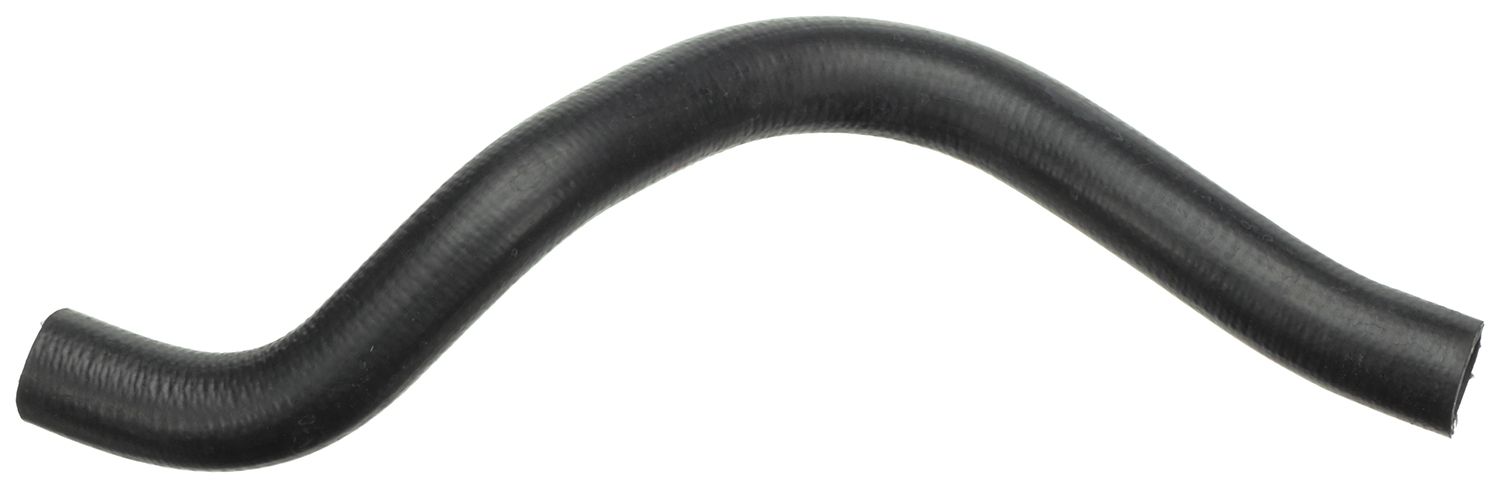 Radiator Hose-main