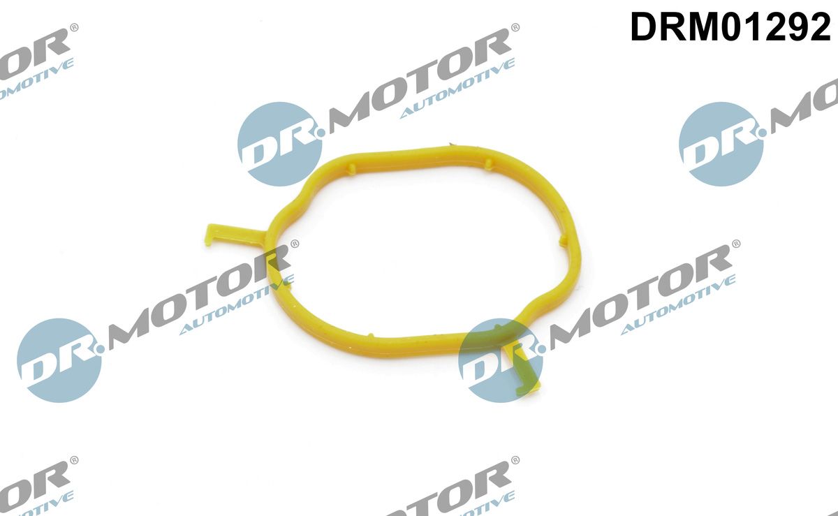 DR.MOTOR AUTOMOTIVE DRM01292 Gasket, coolant pipe