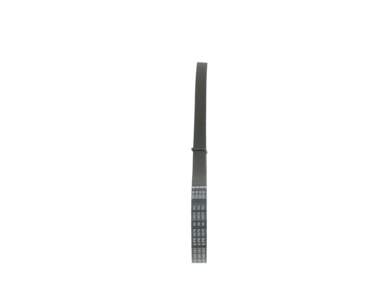 V-ribbed Belt-1