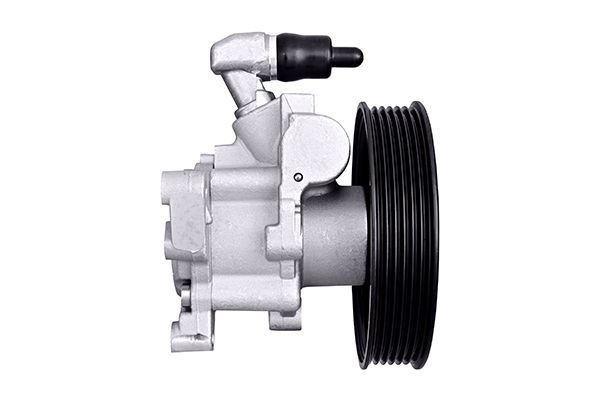 Hydraulic Pump, steering-1