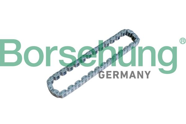 BORSEHUNG B17905 Timing chain