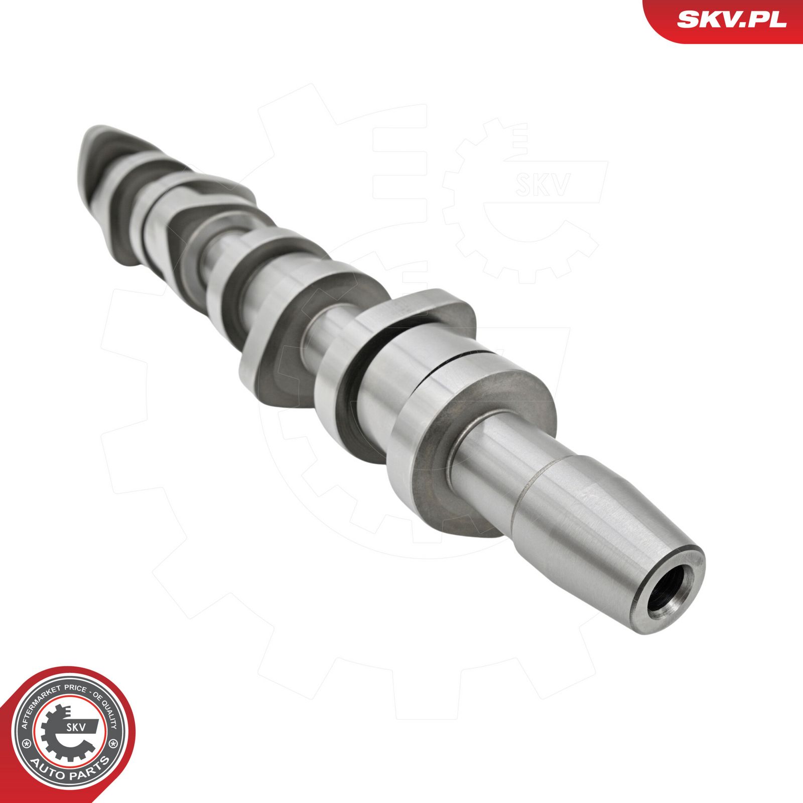 Camshaft Kit-2
