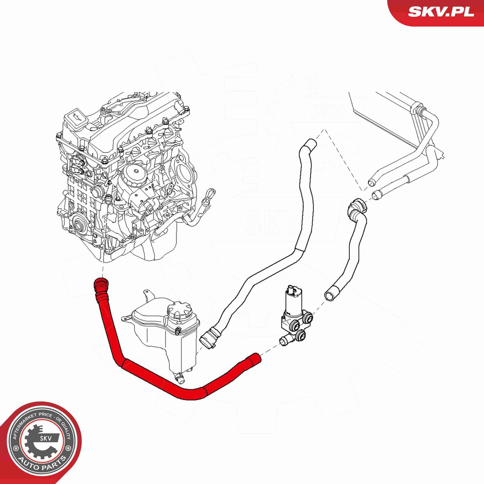 ESEN SKV 24SKV281 Radiator hose