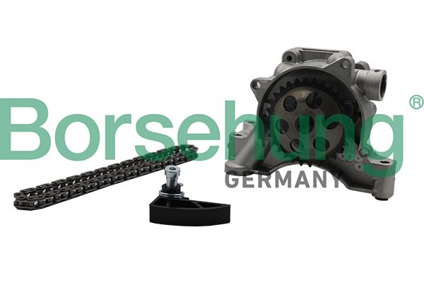 BORSEHUNG B19175 Chain kit, oil pump drive