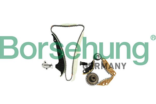 BORSEHUNG B10220 Timing chain kit
