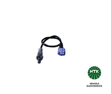 Oxygen Sensor-1