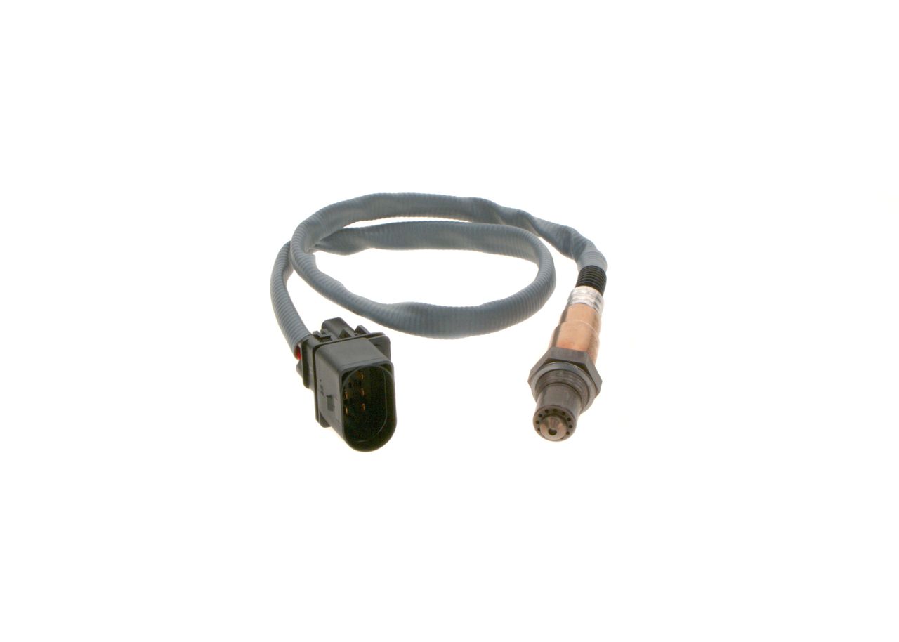 Oxygen Sensor-2