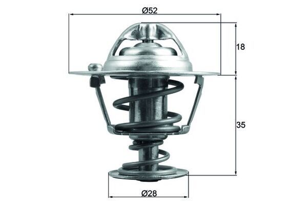 Thermostat, coolant