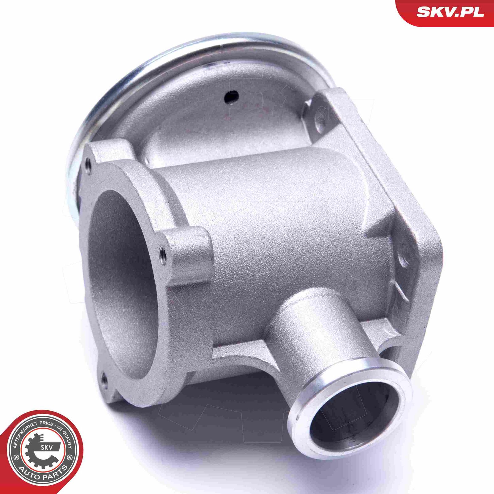 EGR Valve-4
