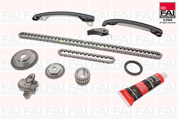 FAI AUTOPARTS TCK66 Timing chain kit