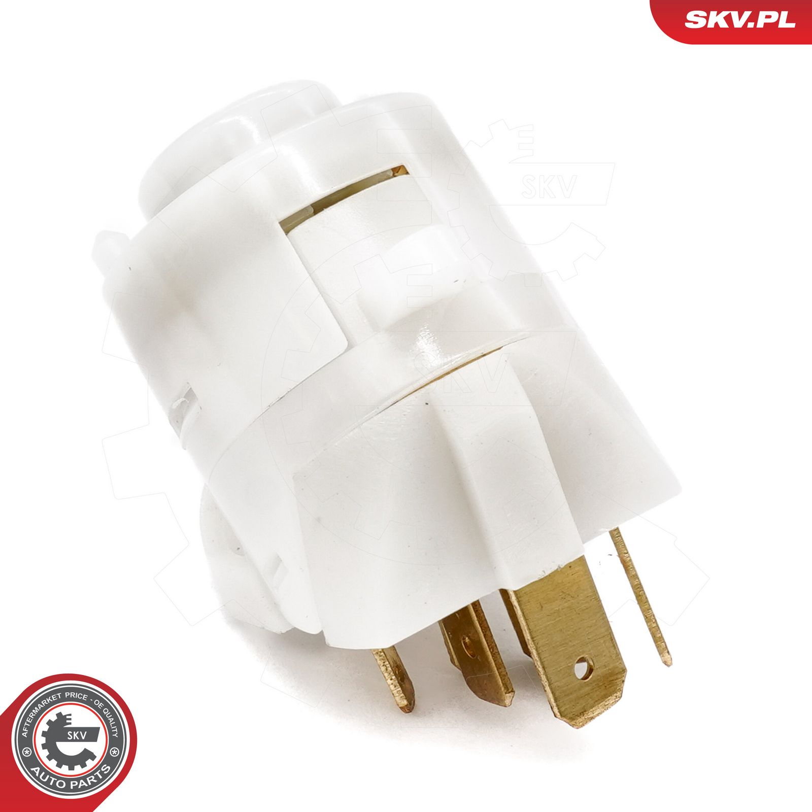 Ignition Switch-1
