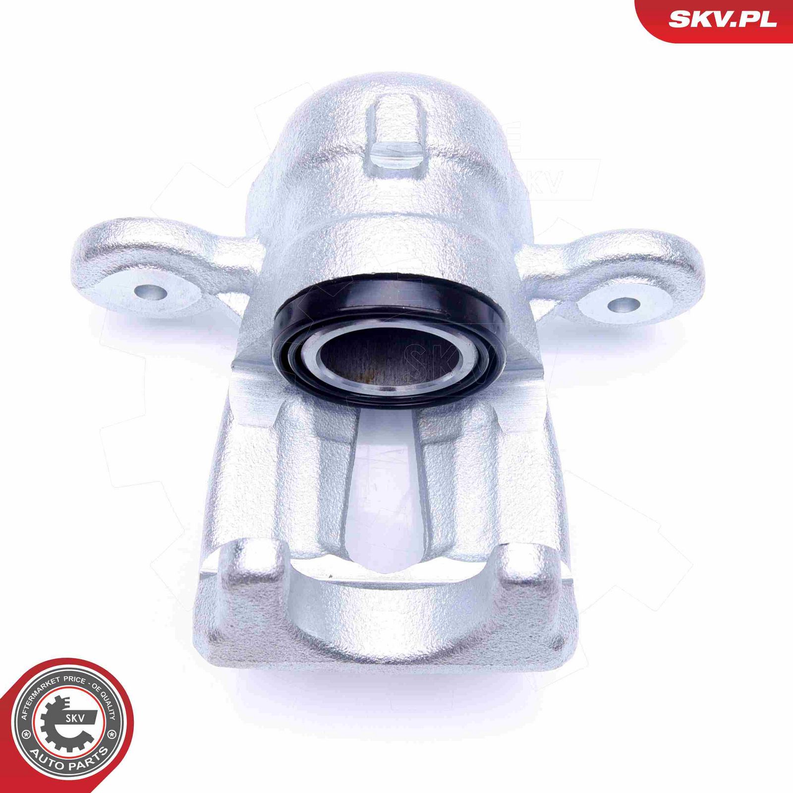 Brake Caliper-5