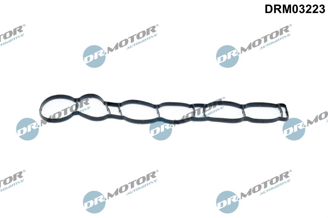 Gasket, intake manifold