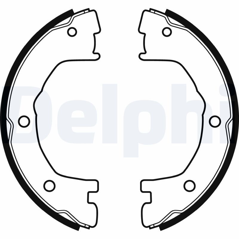 DELPHI LS1919 Brake shoe set, parking brake