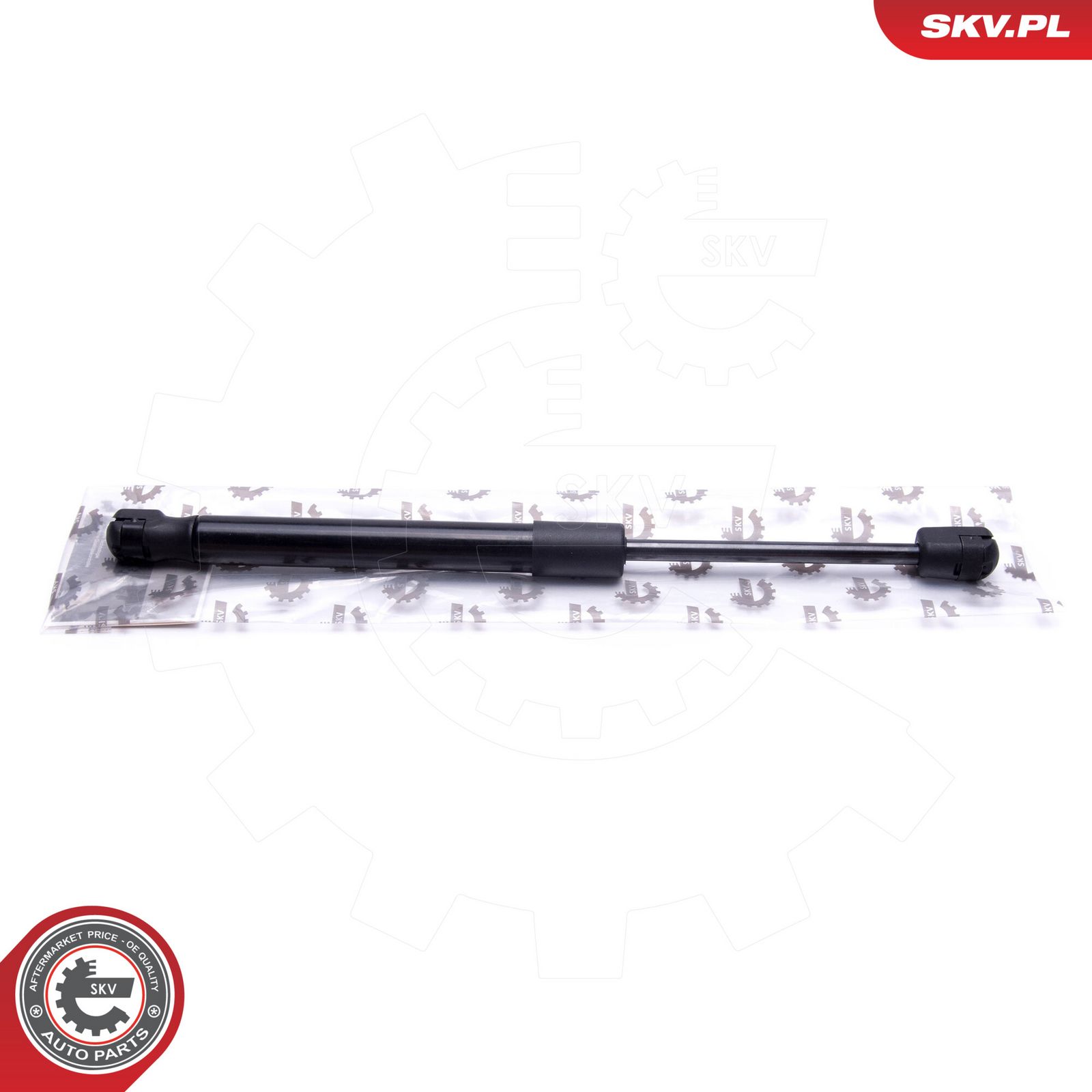 Gas Spring, boot/cargo area