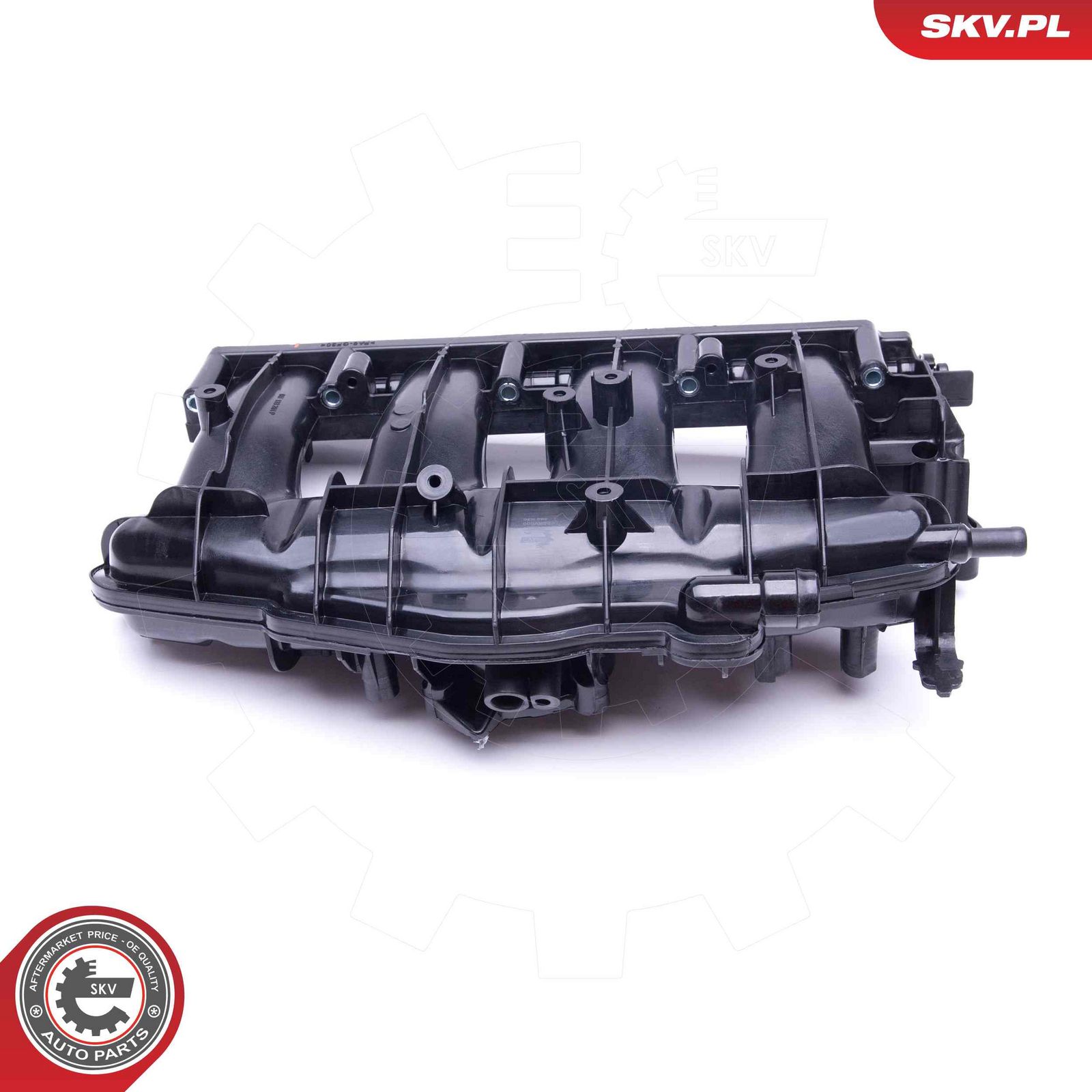 ESEN SKV 49SKV009 Intake manifold module