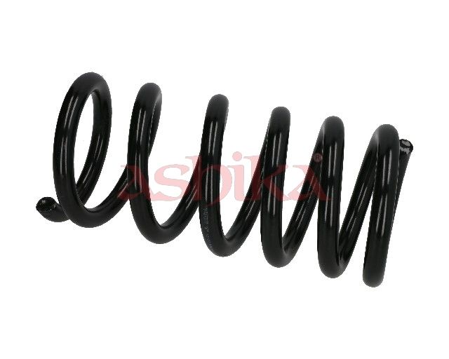 Suspension Spring-main