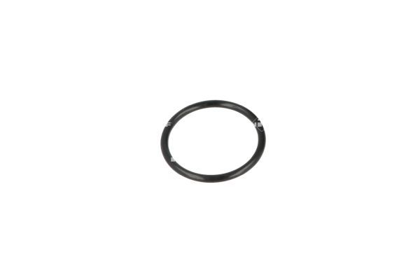 aušinimo skysčio jungė-4