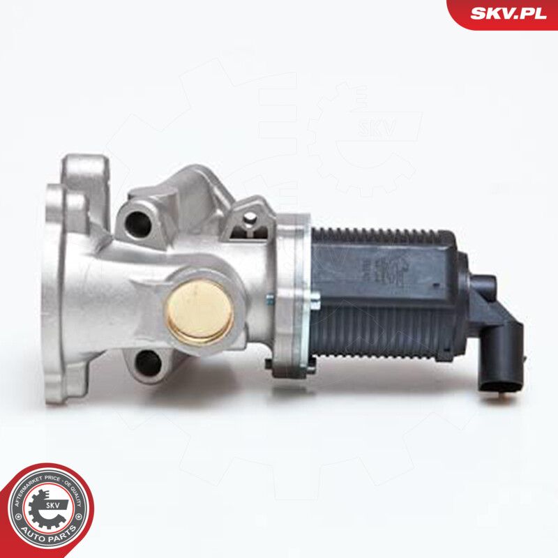 EGR Valve-2