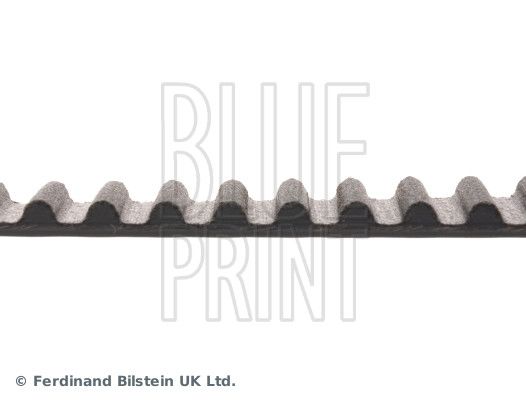 Timing Belt-1
