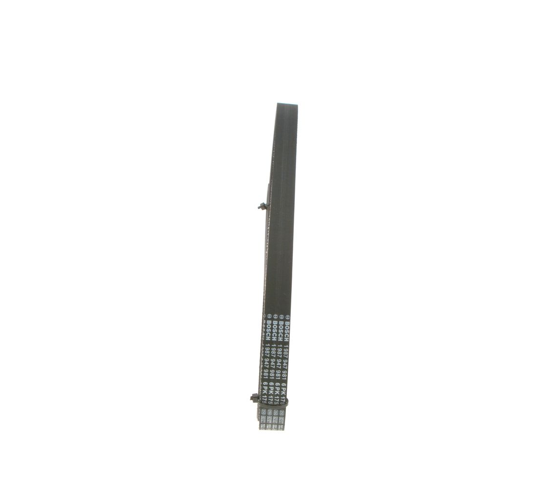 V-ribbed Belt-7