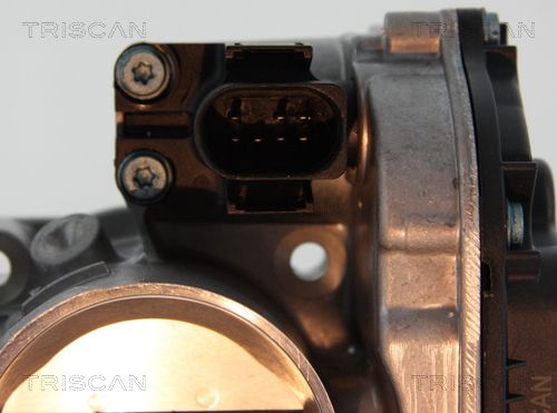 Throttle Body-1