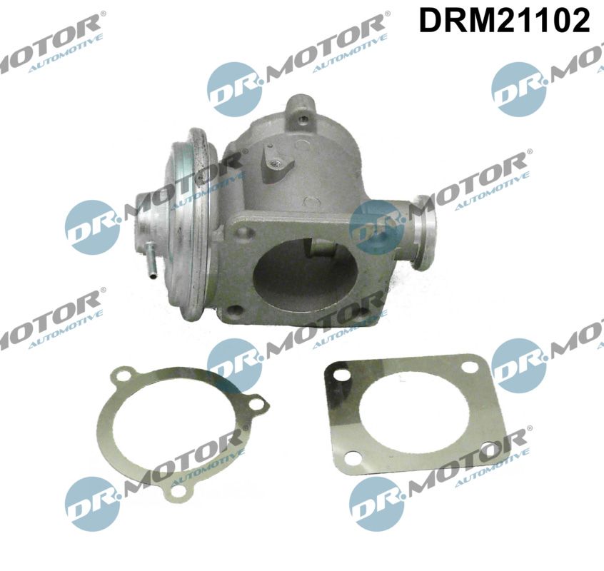 EGR Valve
