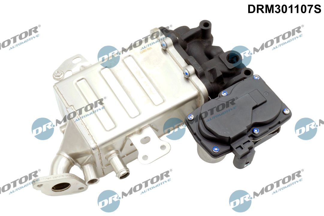 DR.MOTOR AUTOMOTIVE DRM301107S Cooler, exhaust gas recirculation