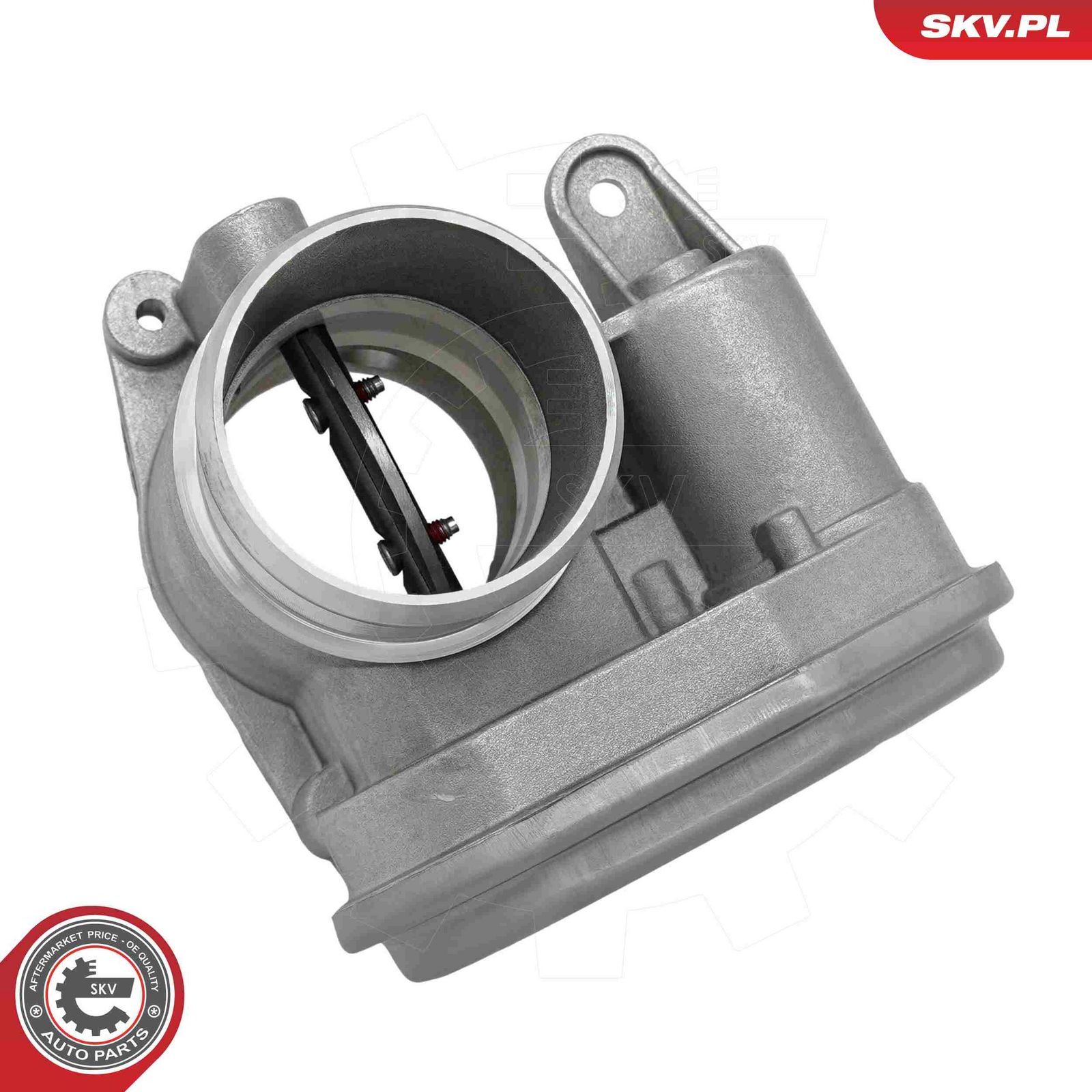 ESEN SKV 12SKV170 Throttle body
