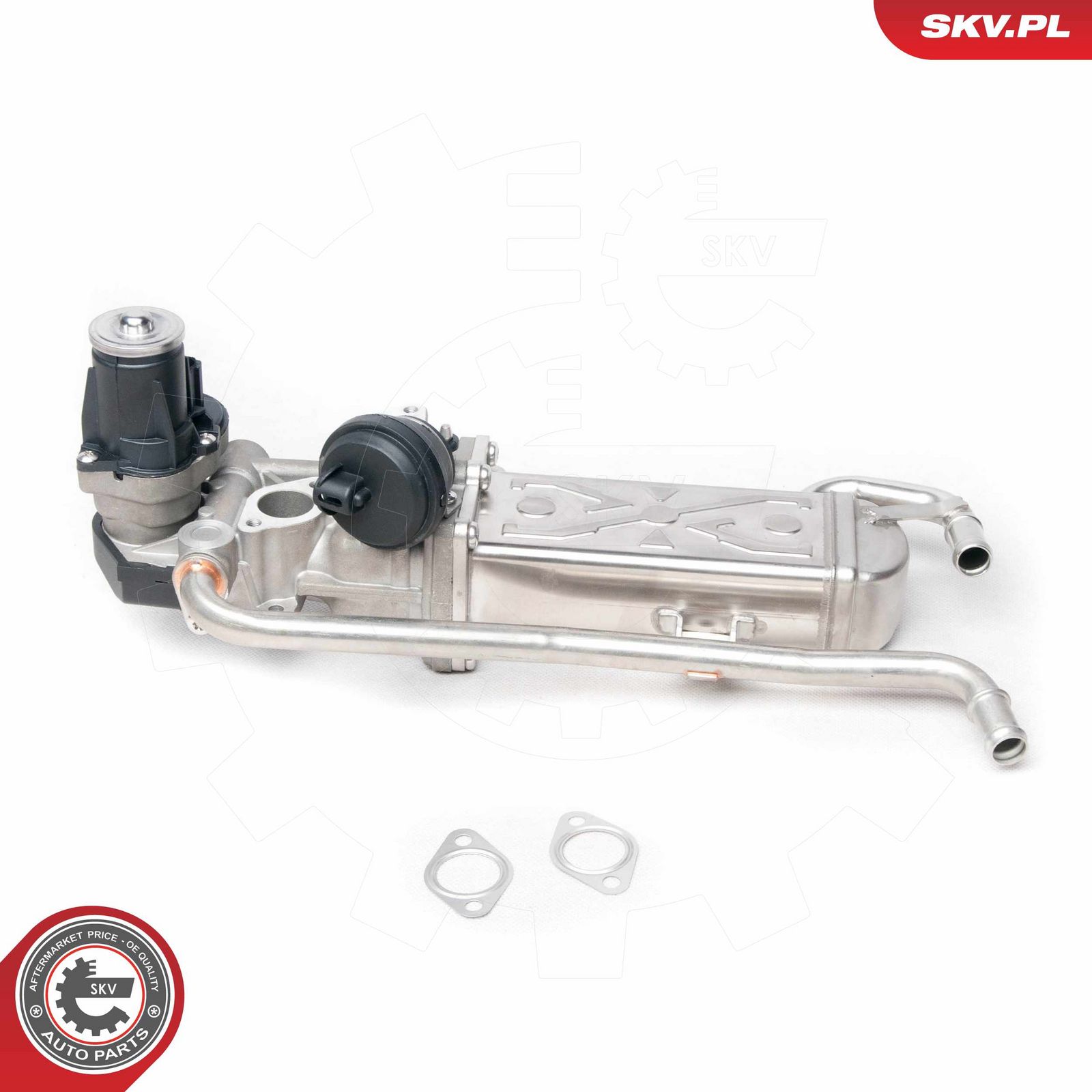 EGR Valve-2