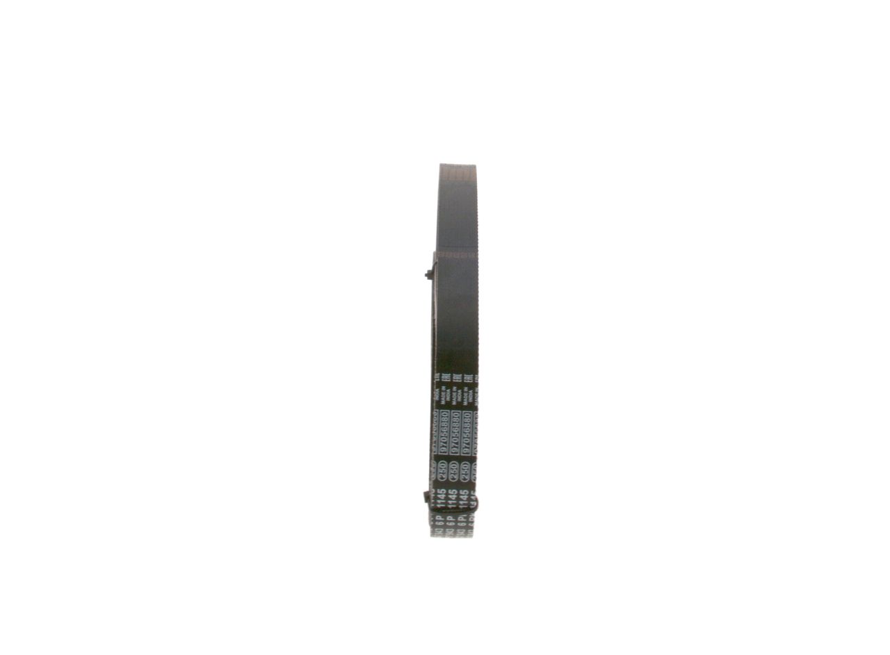 V-ribbed Belt-3