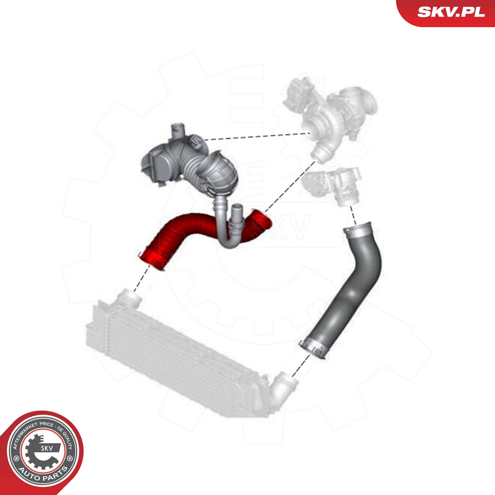 Charge Air Hose-2
