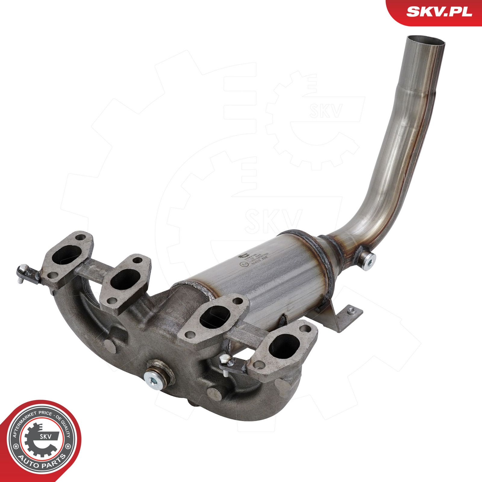 ESEN SKV 62SKV165 Catalytic converter