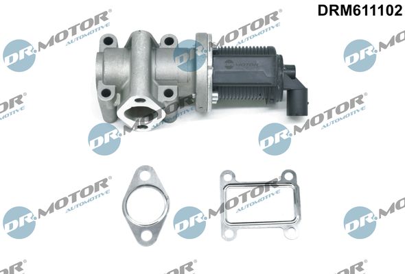 EGR Valve
