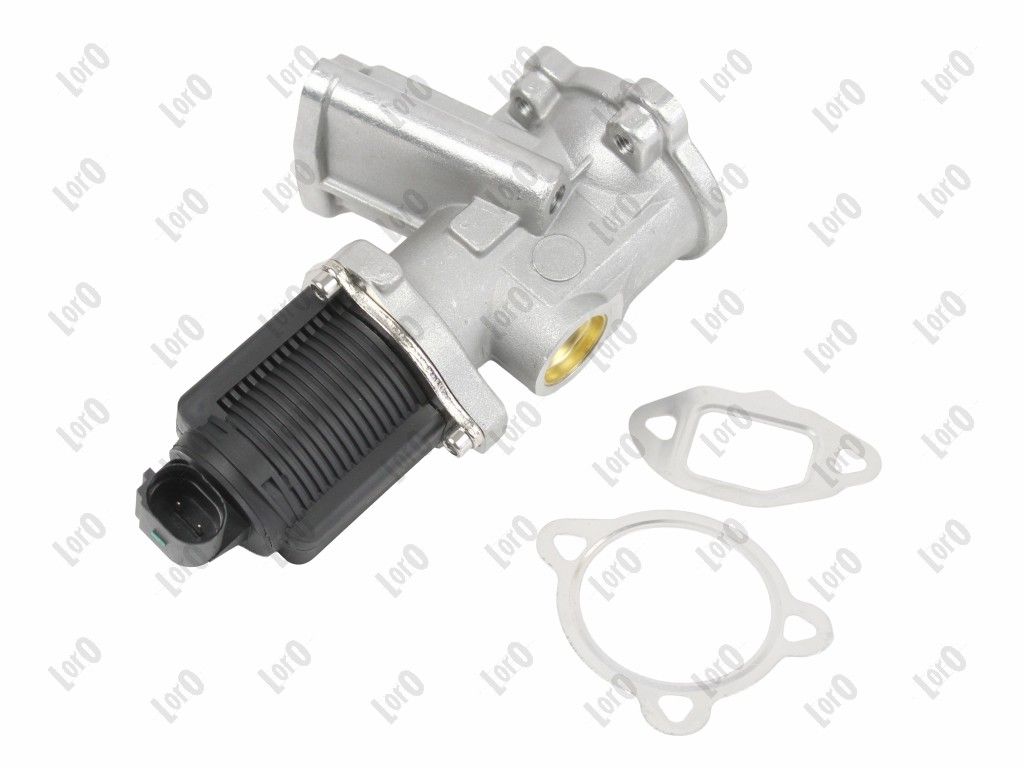 EGR Valve-1