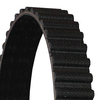 Timing Belt-2
