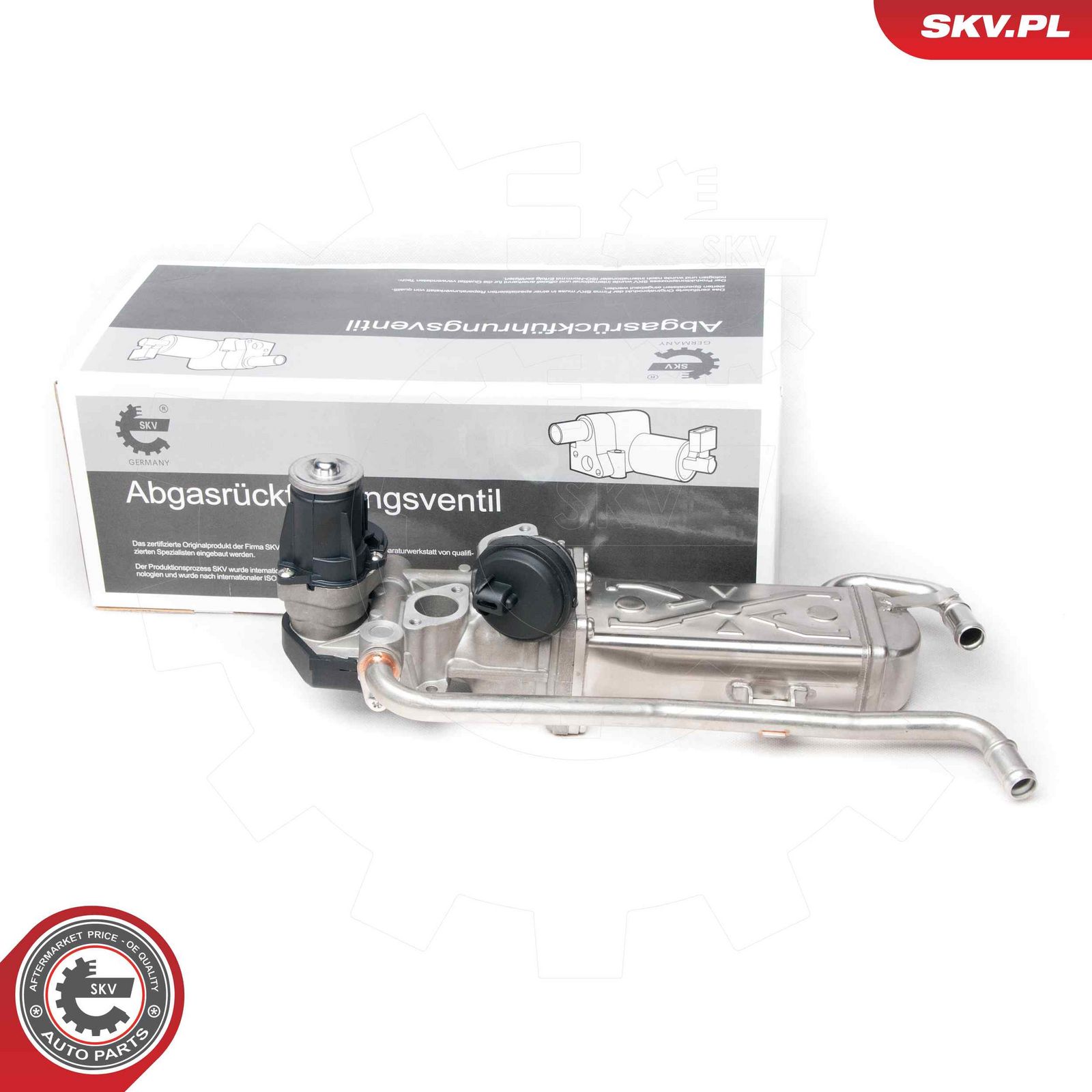 EGR Valve-4