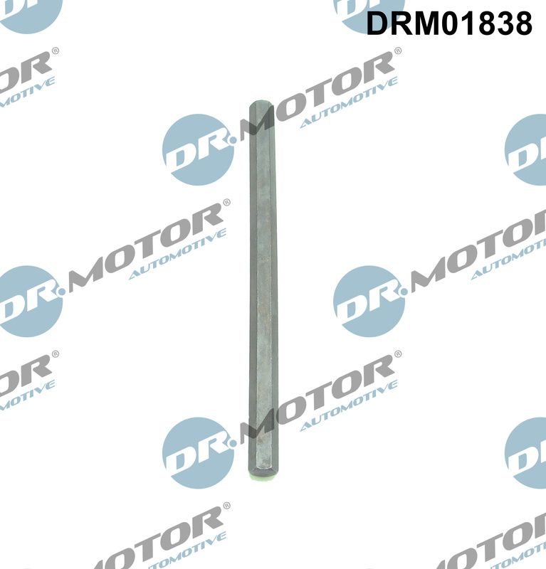 DR.MOTOR AUTOMOTIVE DRM01838 Drive shaft, oil pump