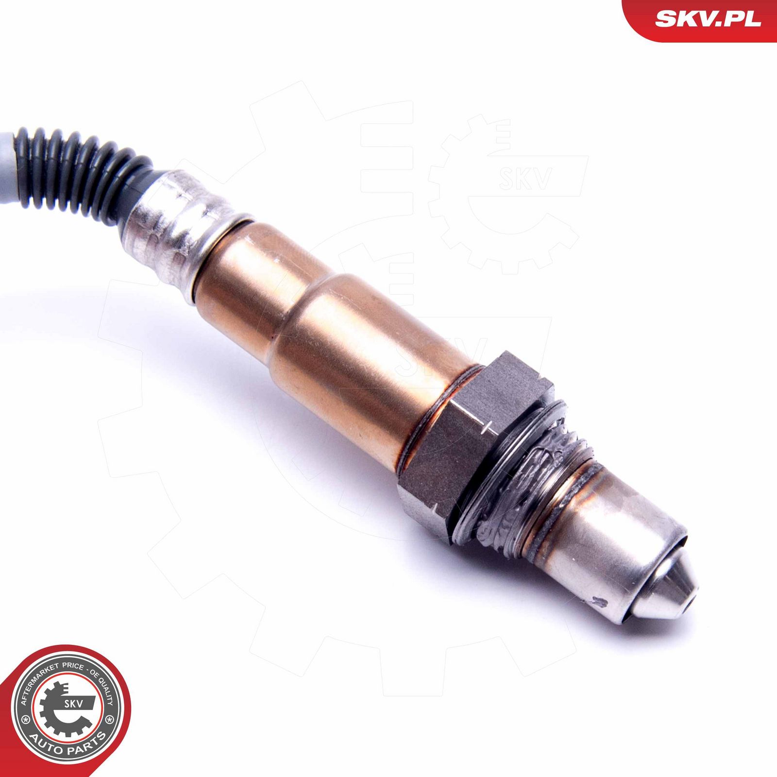 Oxygen Sensor-1