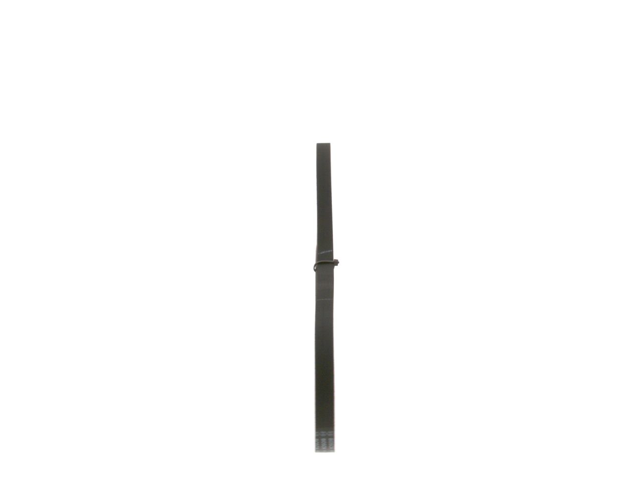 V-ribbed Belt-1